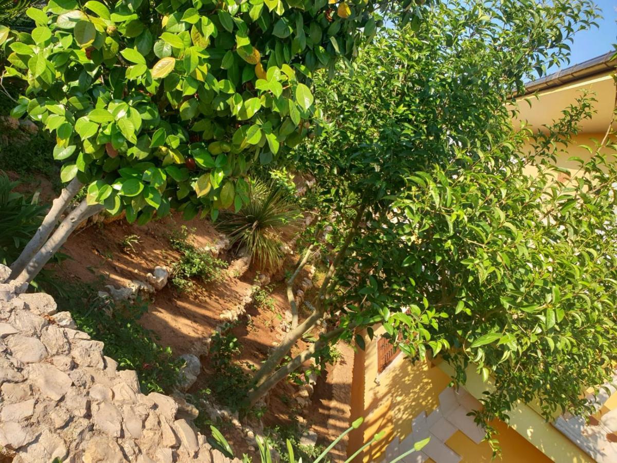 Villa Sargheruoli Monteroni di Lecce Eksteriør billede